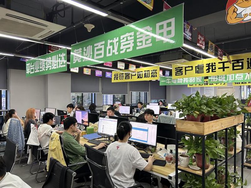 商城系统定制：企业数字化转型的新引擎